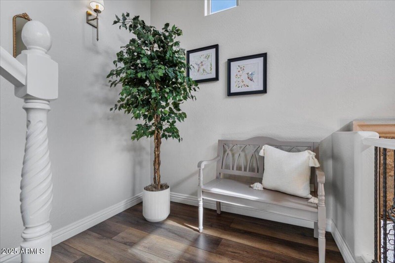 21365 W Mule Deer Way_Landing on Stairs