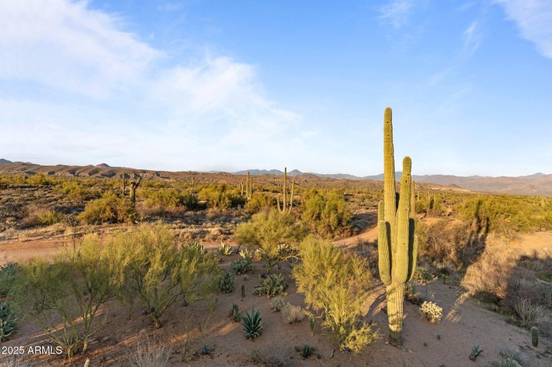 51-web-or-mls-DSC05005