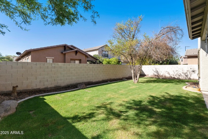 New Winter grass planted