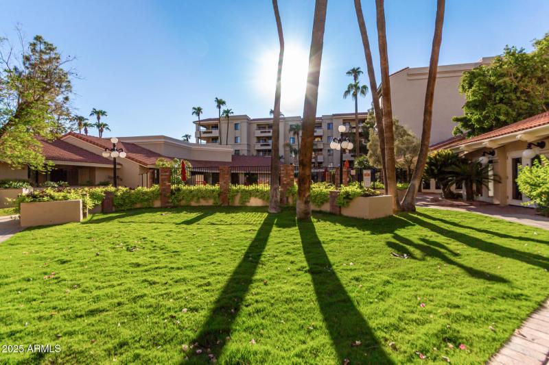 Common area view from back patio