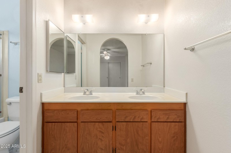 Primary Bathroom Vanity