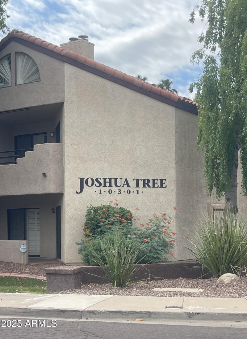 Welcome to Joshua Tree