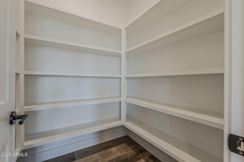 17-web-or-mls-Longhorn-17