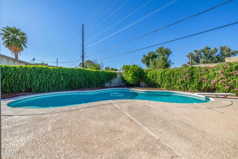 Pool in backyard