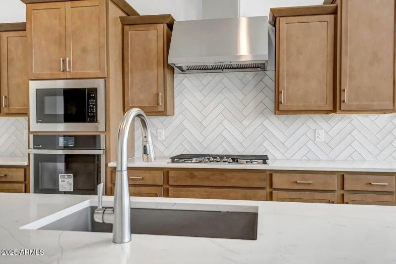 Palo Verde Lot 294 (19)