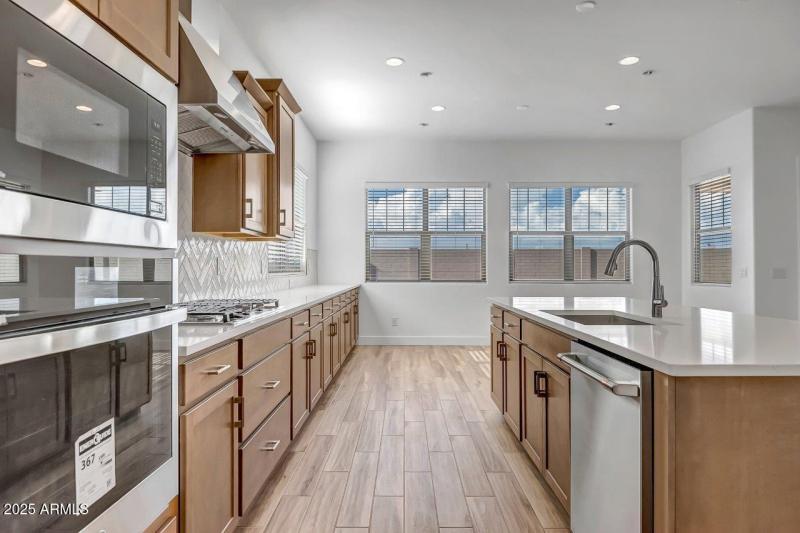 Palo Verde Lot 294 (20)