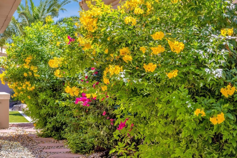 049_Side Yard Flowers