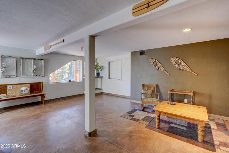 Basement Living Area