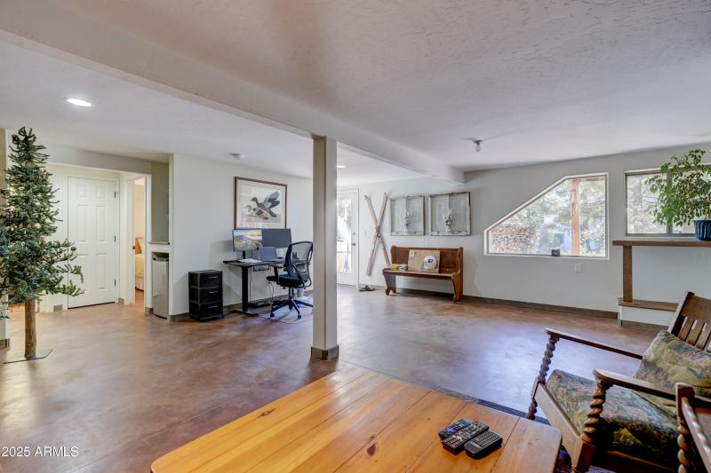 Basement Living Area