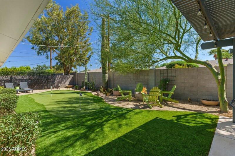 38-Back yard