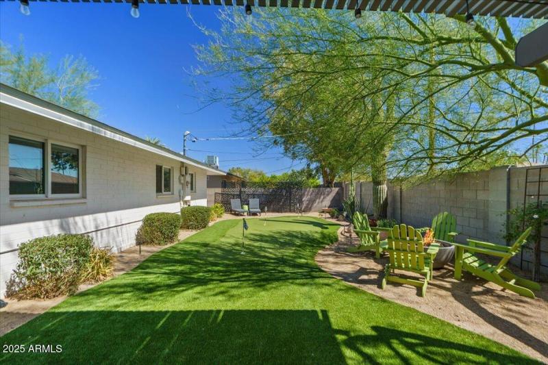 39-Back yard