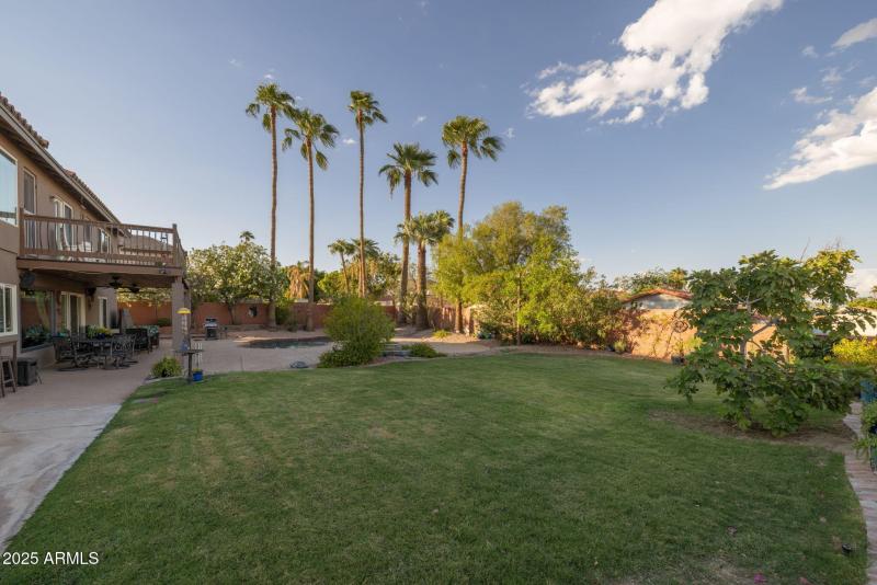 Real grass for fun or Fido