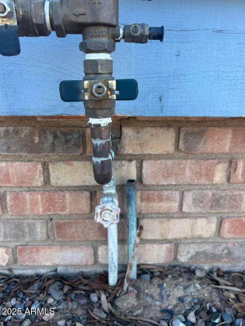 Photo Sep 24 2025, 12 42 00 PM