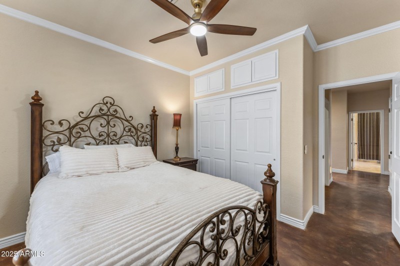 29-web-or-mls-DSC08624