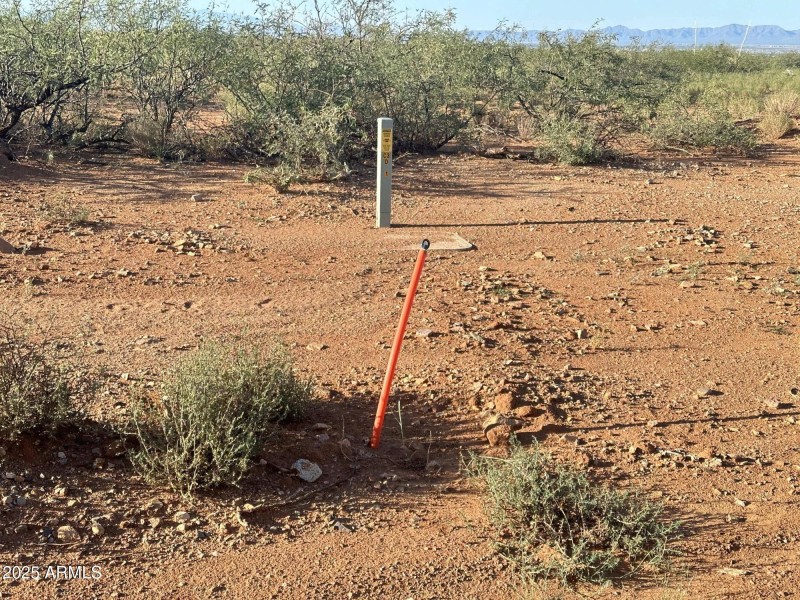 Copy of Copy of IMG_8963