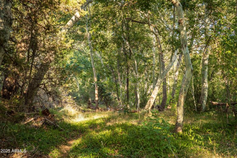 600 ft of Oak Creek Frontage