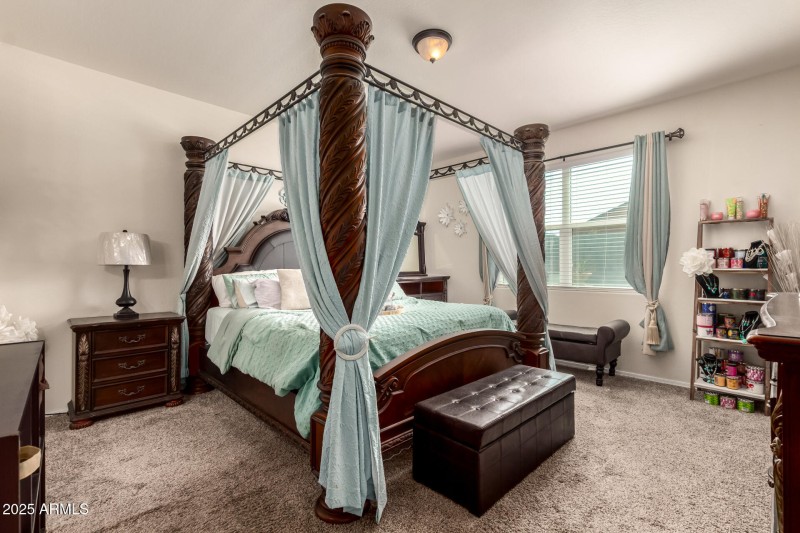 16 - Pampoloma 36371