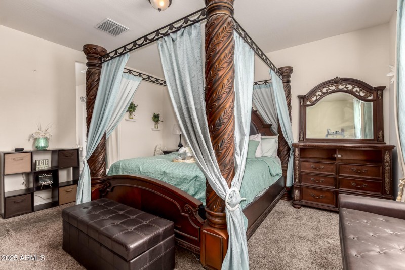 17 - Pampoloma 36371