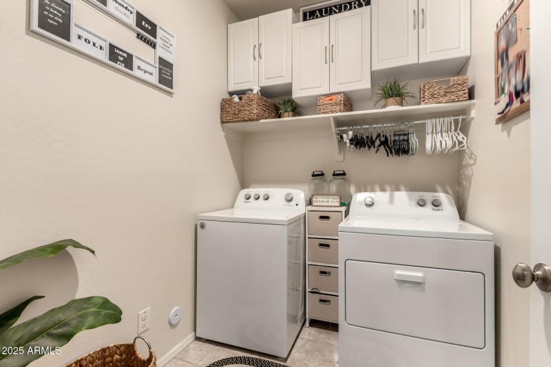 26 - Pampoloma 36371