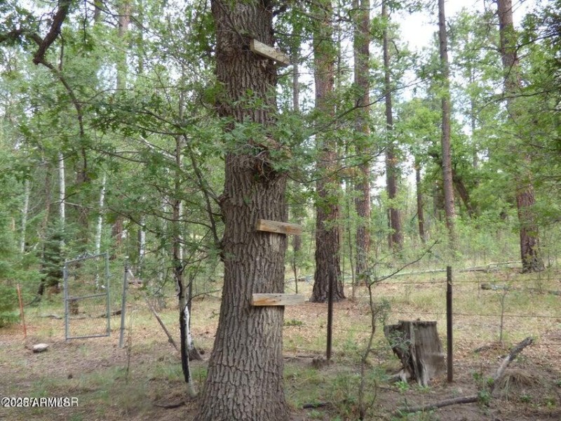 20250909062836910140000000-o