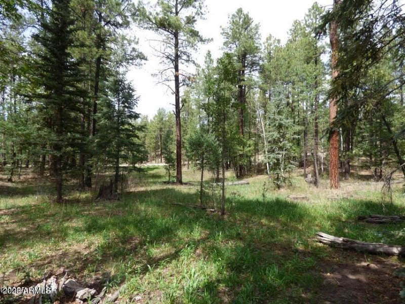 20250909062828622369000000-o