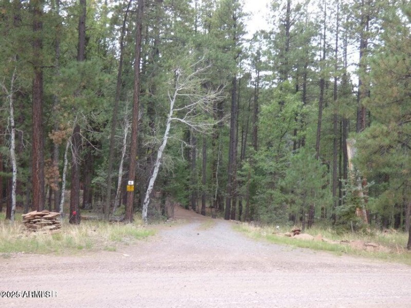 20250909062846912242000000-o