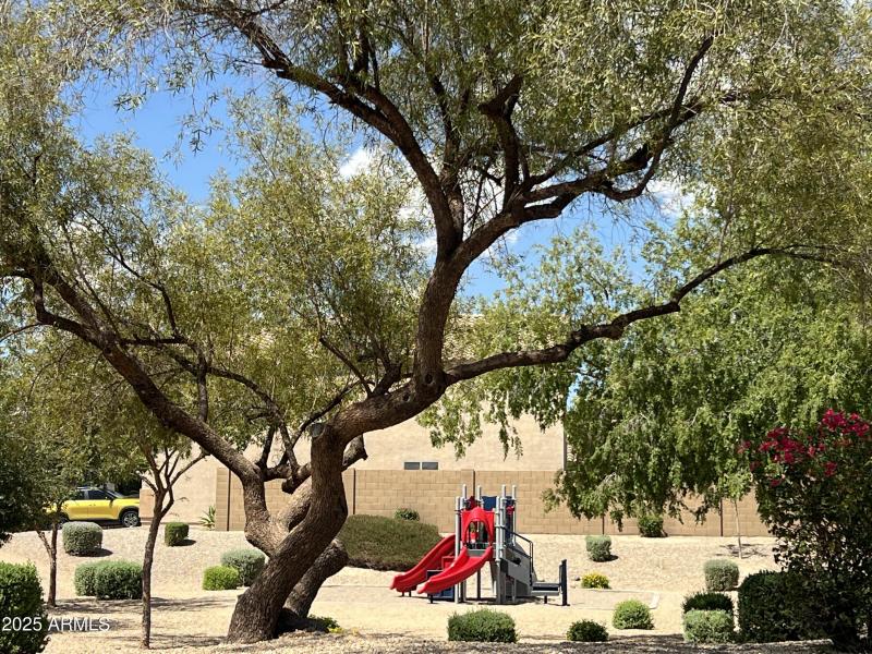 Community Playground