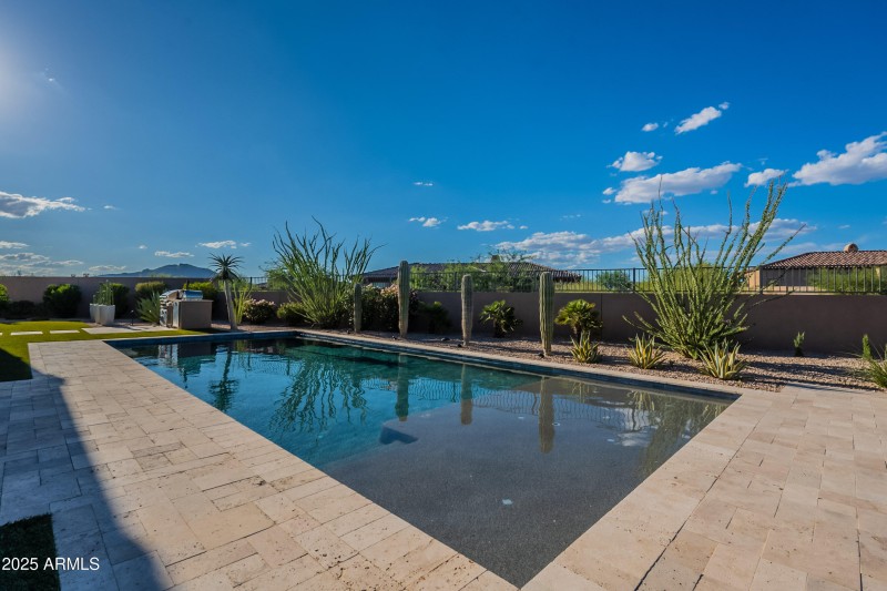 Desert Paradise Setting