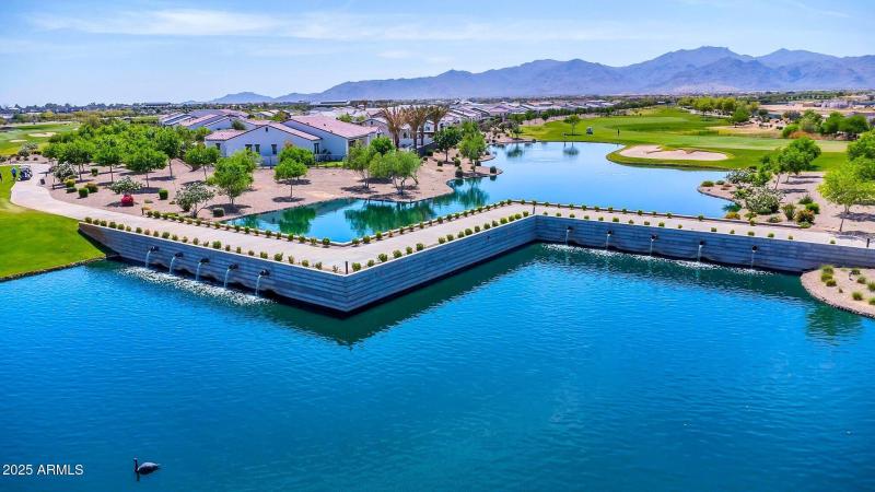 Catch-N-Release Fishing