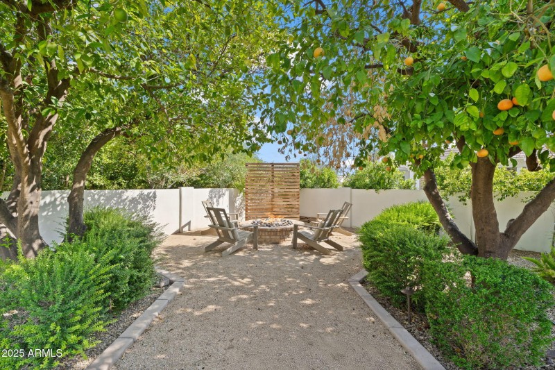 Citrus Trees and Firepit