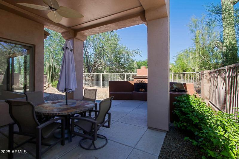 Backyard 4