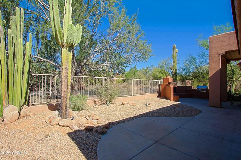Backyard 5