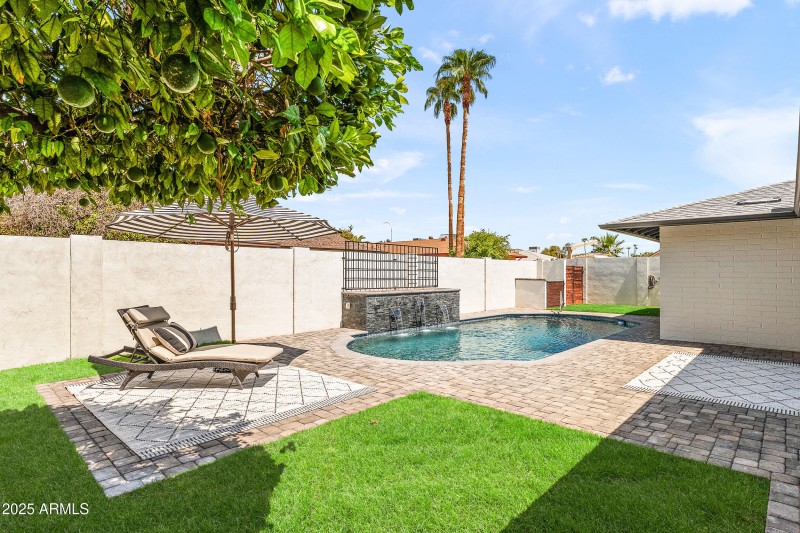 REAL GRASS FRONT ^ BACK