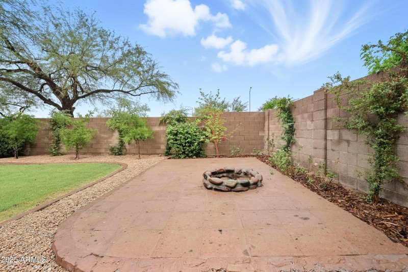 Texas Ebony & Mesquites