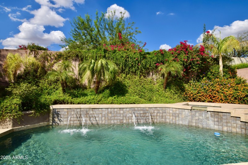 Backyard Pool With Water Features