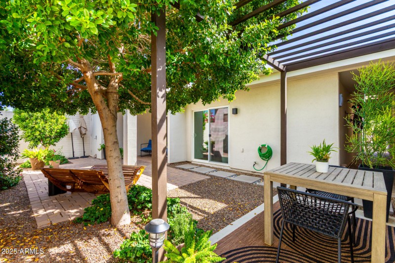 Full View of Backyard Living