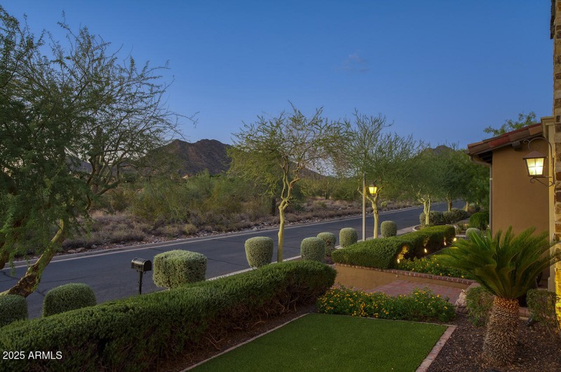 Faces Natural Open Space