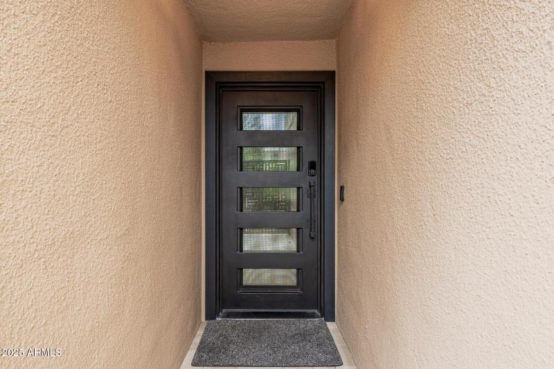 Custom Iron Entry Door