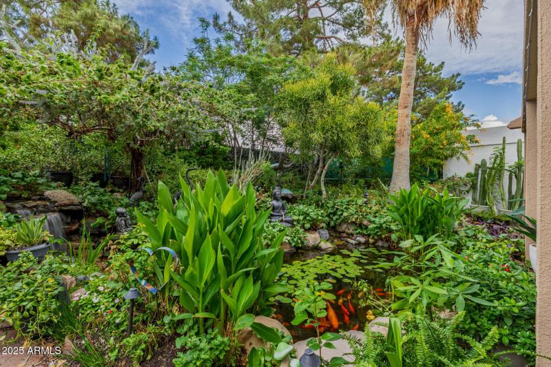 Koi Pond and Elevated Lush Grounds