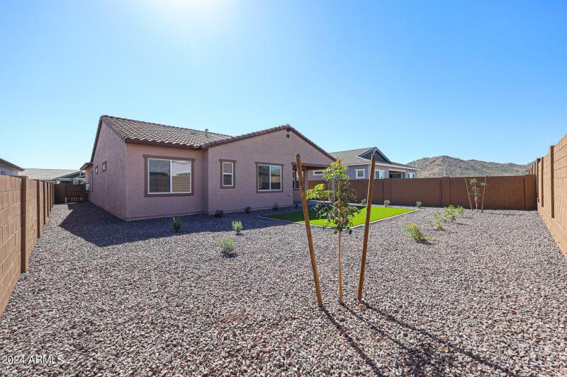 Low Maintenance Back Yard