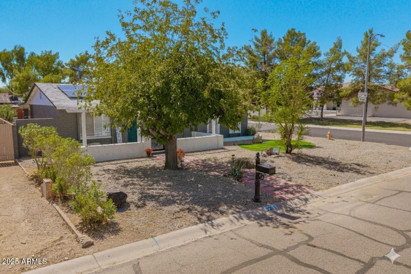 Gemini_Generated_Image_hr7ogehr7ogehr7o