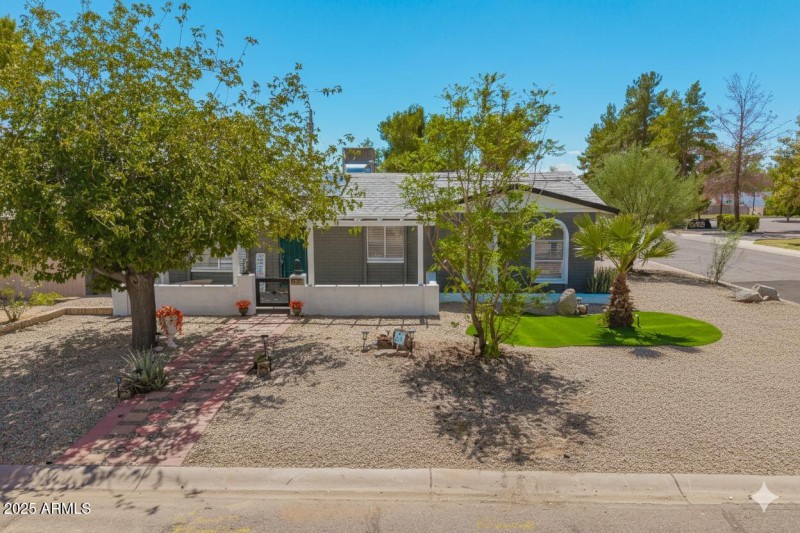 Gemini_Generated_Image_rd198drd198drd19