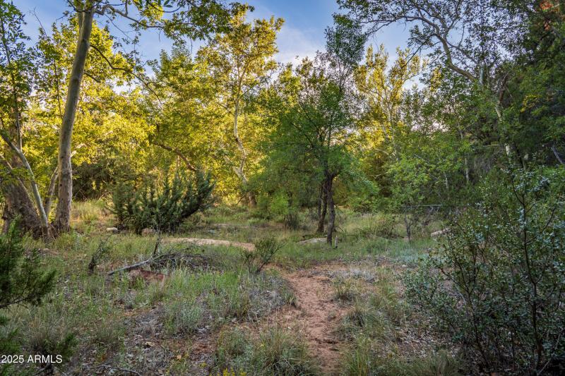 Endless Walking Paths Along Oak Creek