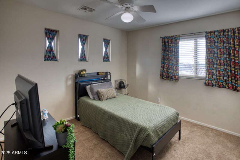 Paxmanphoto_PAX_4204