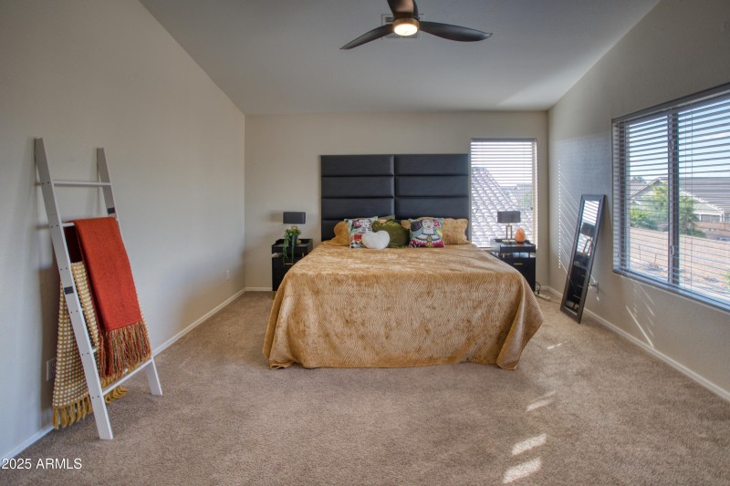 Paxmanphoto_PAX_4226