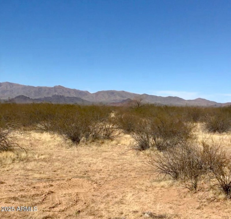 Daylight desert landscaping