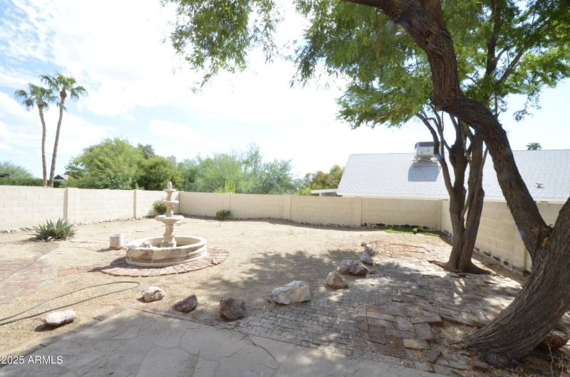 Backyard 2