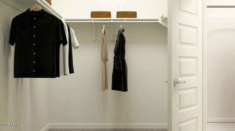 Owners Walk in Closet