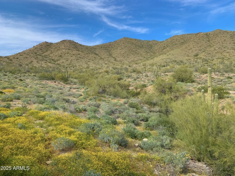 48 Daisy Mountain (DJ MacMini M4's confl