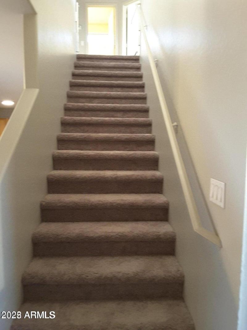 Staircase with Carpet